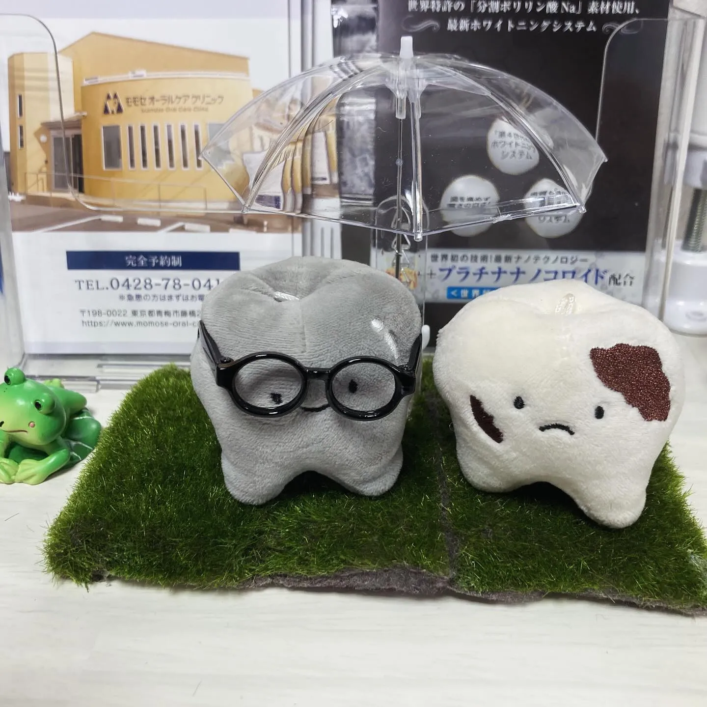 こんにちは、青梅市のモモセオーラルケアクリニックです