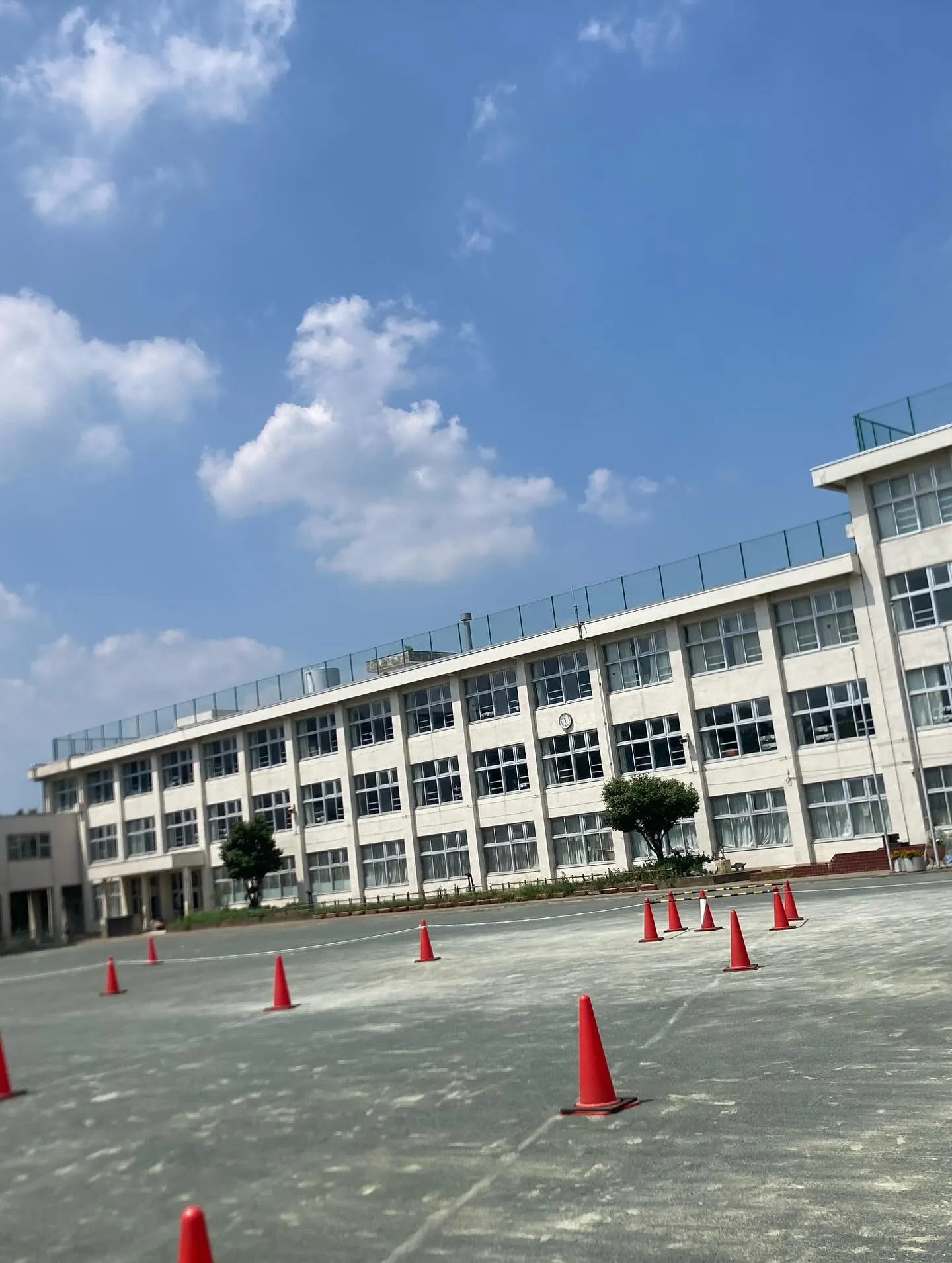 こんにちは、青梅市藤橋のモモセオーラルケアクリニックです