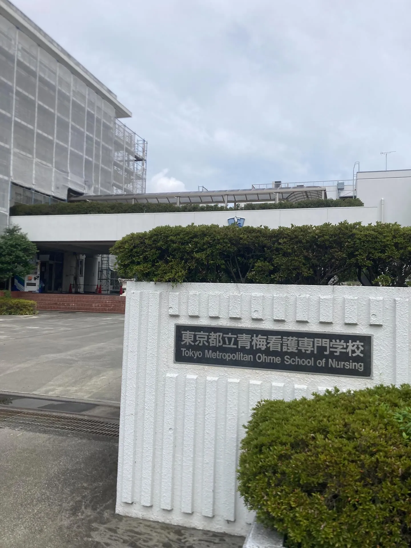 こんにちは青梅市藤橋のモモセオーラルケアクリニックです